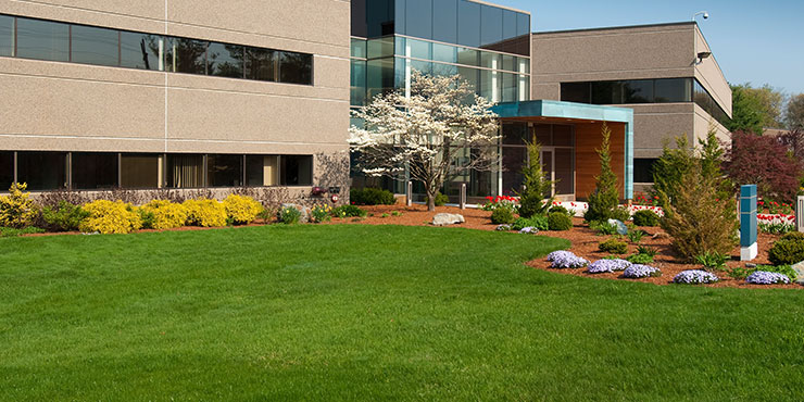 Commercial landscaping services