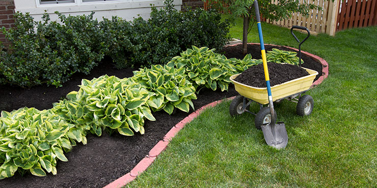 Landscaping