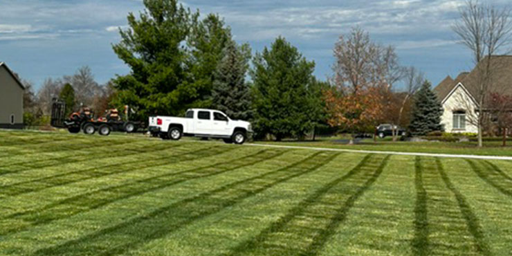 Lawn mowing